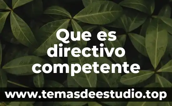 Qué es la competitividad ser competente 6 Que es directivo competente