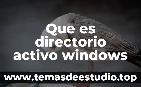 Que es un activo ocioso 5 Que es directorio activo windows