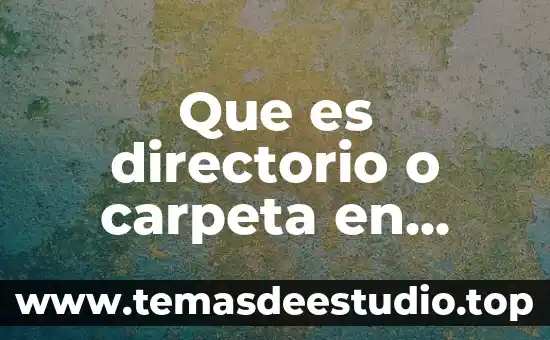 Que es directorio o carpeta en informatica