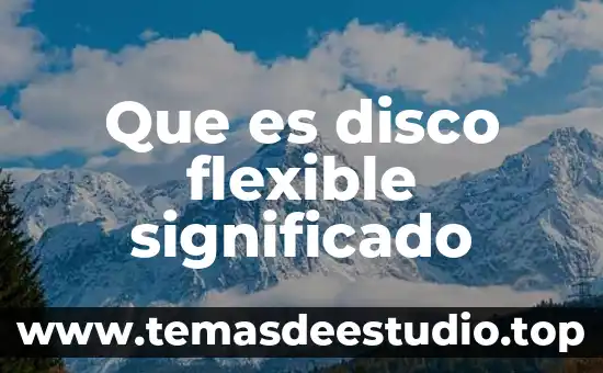 Que es el aprendizaje flexible 3 Que es disco flexible significado