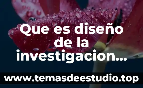 Que es diseño de la investigacion en una metodologia ejemplos