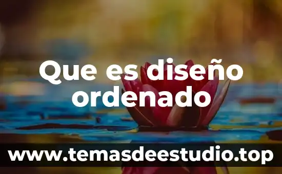 Estudio del sitio arquitectura que es 8 Que es diseño ordenado