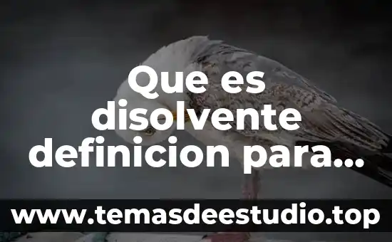 Qué es exegética definición 8 Que es disolvente definicion para niños