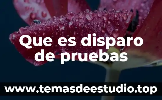 Que es disparo de pruebas