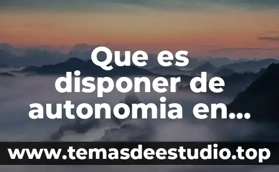 Que es disponer de autonomia en el trabajo
