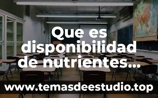 Que es disponibilidad de la informacion en administracion 3 Que es disponibilidad de nutrientes alimentos