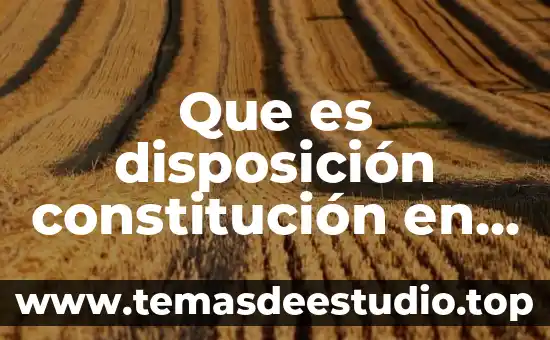Qué es una constitución de fernando lasalle libro 3 Que es disposición constitución en contabilidad