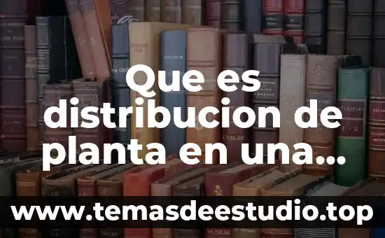 Tipo de empresa que es 8 Que es distribucion de planta en una empresa