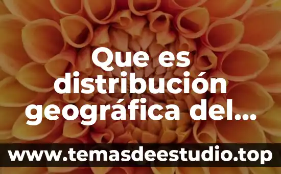 Que es la cultura ubicacion geografica de la cultura maya 7 Que es distribución geográfica del mercado de consumo