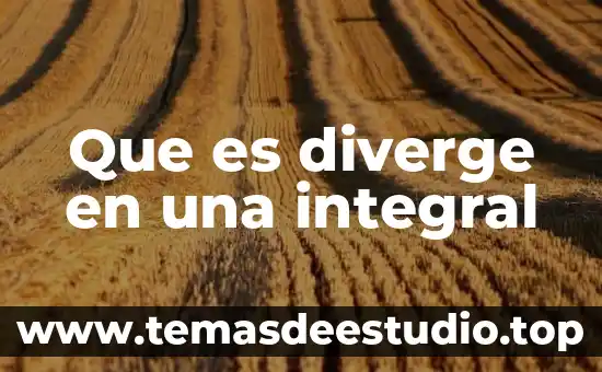 Que es la deteccion de falla computadora 5 Que es diverge en una integral