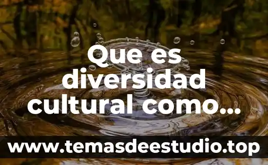 Que es el patrimonio cultural de las artes visuales 5 Que es diversidad cultural como valor
