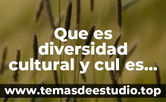 Que es el patrimonio cultural tres autores diferentes 8 Que es diversidad cultural y cul es la inportancia