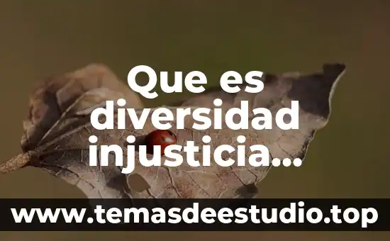 Que es el patrimonio cultural tres autores diferentes 7 Que es diversidad injusticia cultural