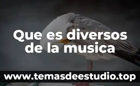 Que es diversos de la musica