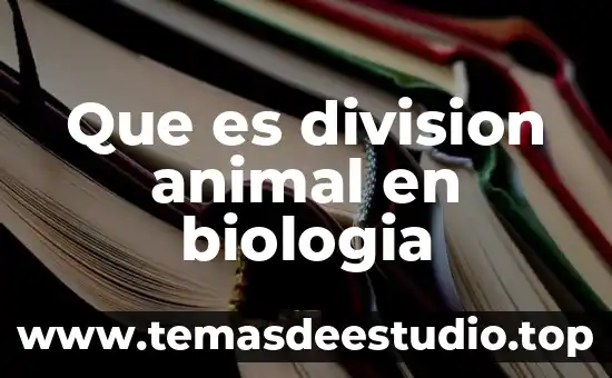 Que es una capa de loma en biologia 6 Que es division animal en biologia