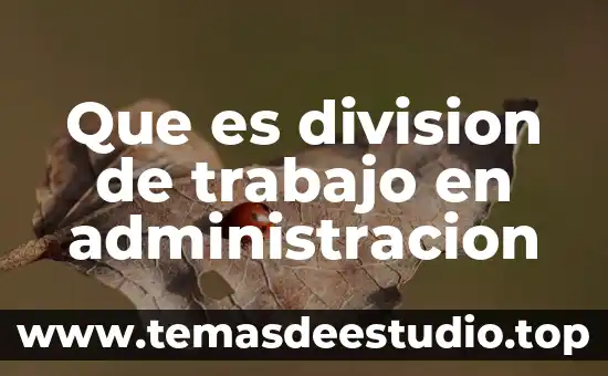 Que es medidas y datos que contiene ficha de trabajo 5 Que es division de trabajo en administracion