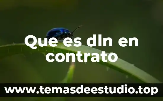 Que es una contrato de arrendamiento 6 Que es dln en contrato