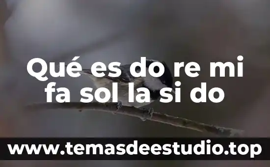 Que es la clave unica re registro de población 4 Qué es do re mi fa sol la si do