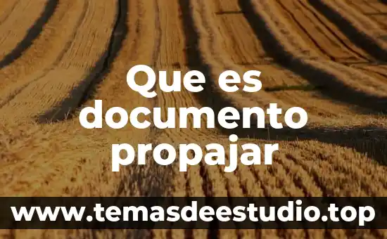 Que es documento nacional de identidad dni 5 Que es documento propajar