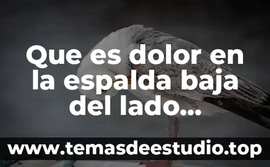 Que es dolor en la espalda baja del lado derecho