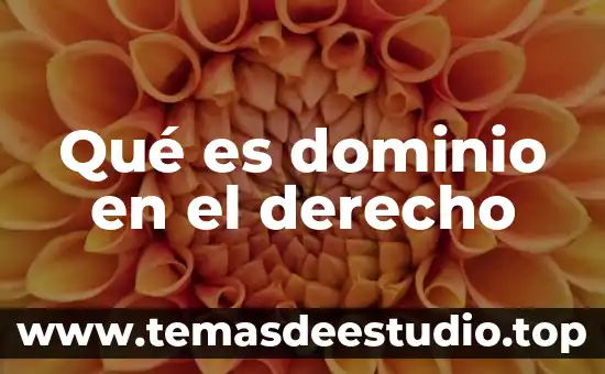 Que es el principio de acto derecho penal 4 Qué es dominio en el derecho