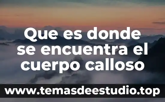 Que es donde se encuentra el cuerpo calloso