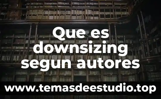 Que es downsizing segun autores