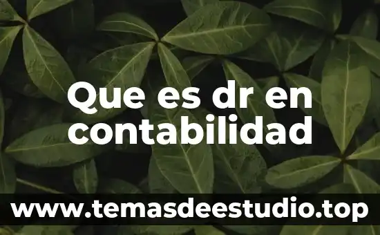 Qué es costos en contabilidad autores 8 Que es dr en contabilidad