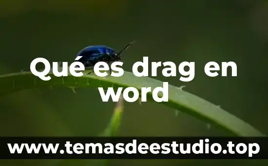 Que es el significado del nombre judith 3 Qué es drag en word