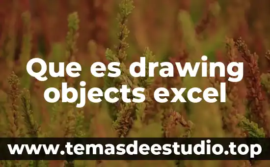 Que es drawing objects excel