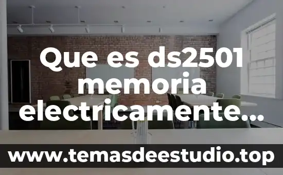 Por que es un solo dios 7 Que es ds2501 memoria electricamente programable de solo lectura