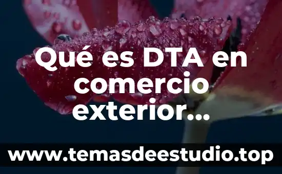 Que es la nomenclatura de ginebra comercio exterior 3 Qué es DTA en comercio exterior Colombia