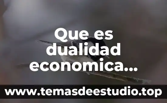 Que es principio de dualidad económica 4 Que es dualidad economica ejemplo