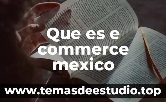 Que es la sociedad multicultural en mexico 7 Que es e commerce mexico