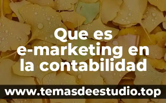 Que es e-marketing en la contabilidad