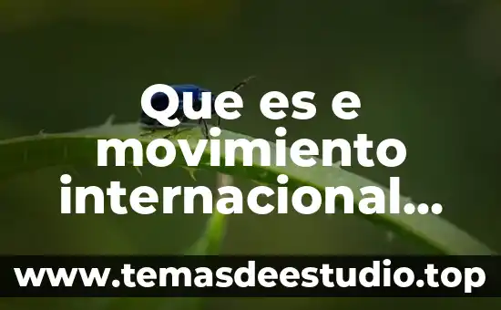 Que es competitividad nacional e internacional 5 Que es e movimiento internacional de factores