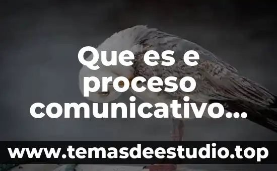 Que es e proceso comunicativo de harol laswell