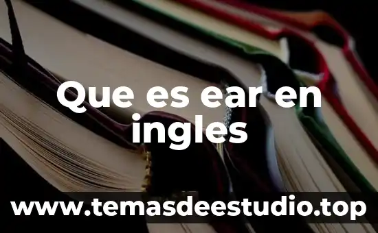Que es manglar en ingles 6 Que es ear en ingles