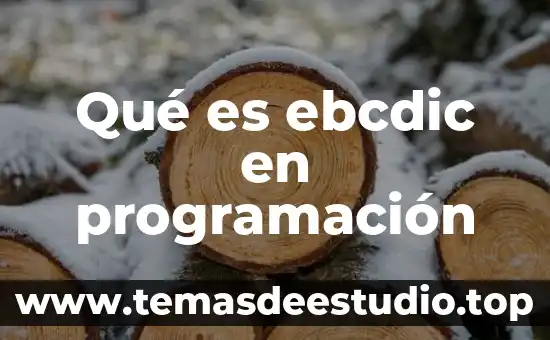 Qué es ebcdic en programación
