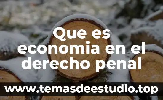 Que es economia en el derecho penal