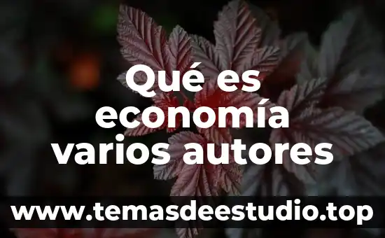 Qué es economía varios autores