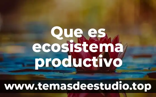 Qué es un ecosistema y sus elementos 3 Que es ecosistema productivo