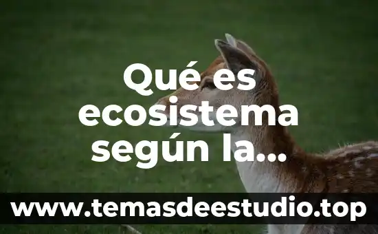Qué es ecosistema según la biologia