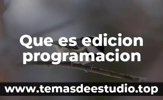 Que es la edicion en un periodico 4 Que es edicion programacion