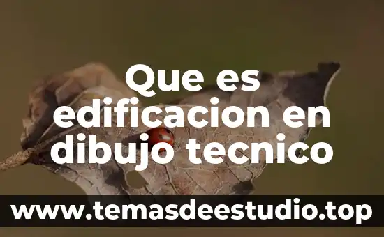 Que es un tecnico de software 5 Que es edificacion en dibujo tecnico
