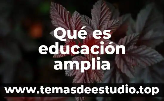 Qué es educación amplia