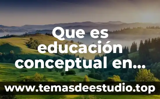 Que es educación conceptual en la educación