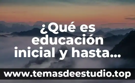 Qué es cultura y educación financiera 6 ¿Qué es educación inicial y hasta qué edad abarca?