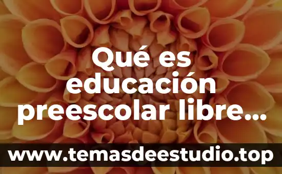 Que es la libertad del derecho a la educacion 4 Qu茅 es educaci贸n preescolar libre innovadora