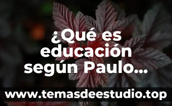 Que es zdp segun vigotsky 8 ¿Qué es educación según Paulo Freire?